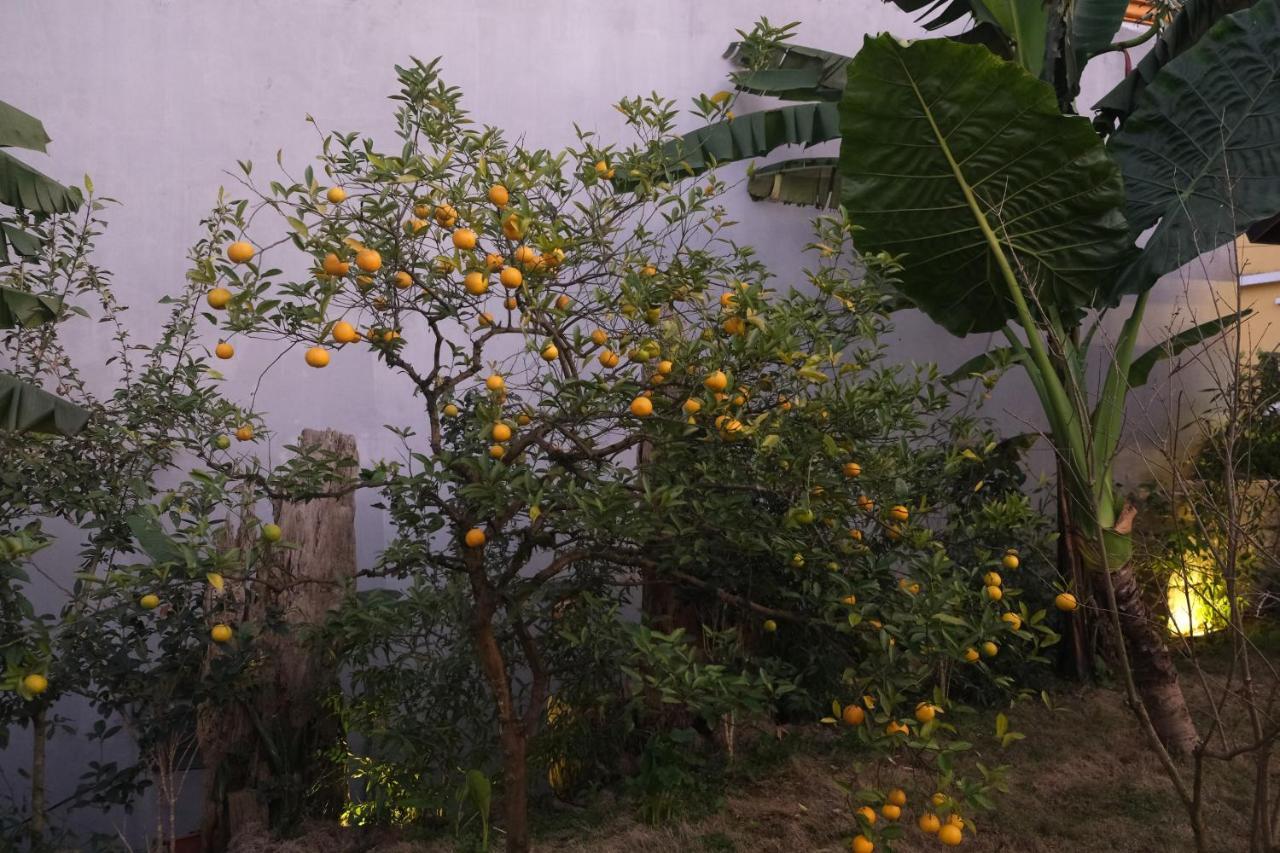 Sapa Charming Homestay Εξωτερικό φωτογραφία